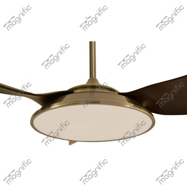 Amor Antique Brass Magnific Contemporary Designer Ceiling Fans - Enlarged View