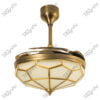 Cooper Antique Brass Magnific Retractactable Blades Designer Ceiling Fans -Front View