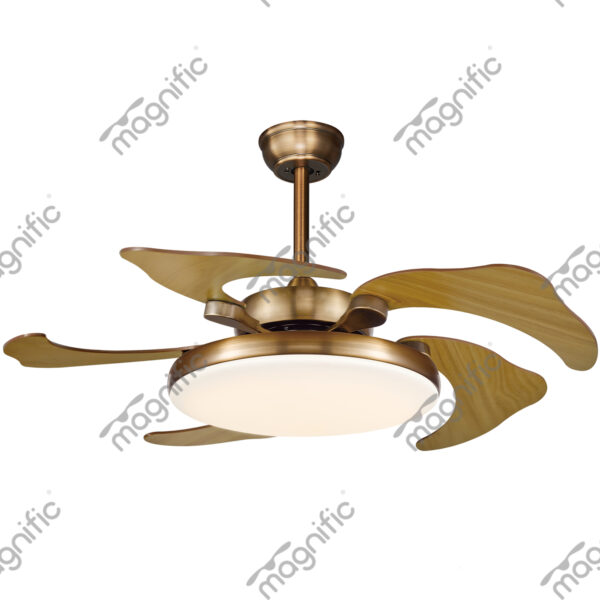 Daffodil Antique Brass Magnific Retractactable Blades Designer Ceiling Fans - Front View