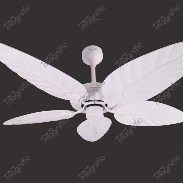 Daisy White Magnific Contemporary Designer Ceiling Fans - Enlarged View