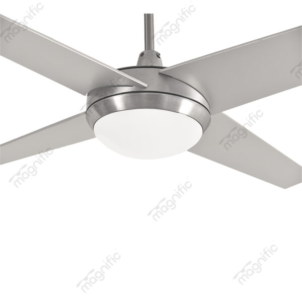Italio Stainless Silver Magnific Designer Wooden Fans - Enlarged View