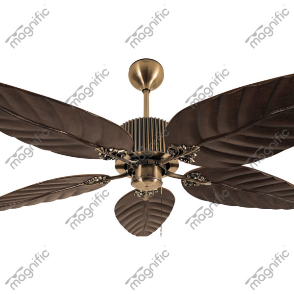 Maple Light Pine Wood Magnific Colossal Fan - Enlarged View