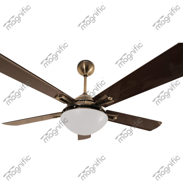 Rio Antique Brass Magnific Contemporary Designer Ceiling Fans - Enlarged View