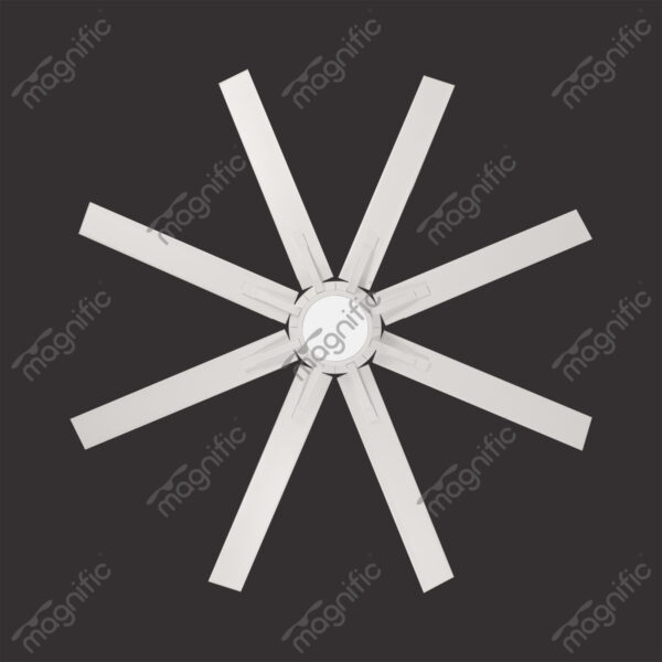 Spider White Magnific Colossal Fan - Top View